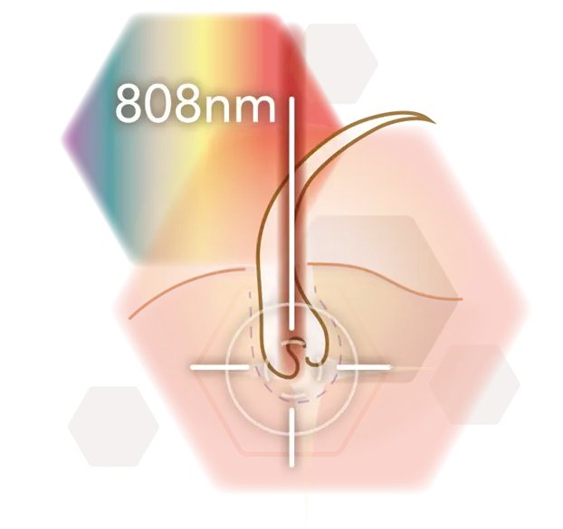 Infografik Wellenlänge 808