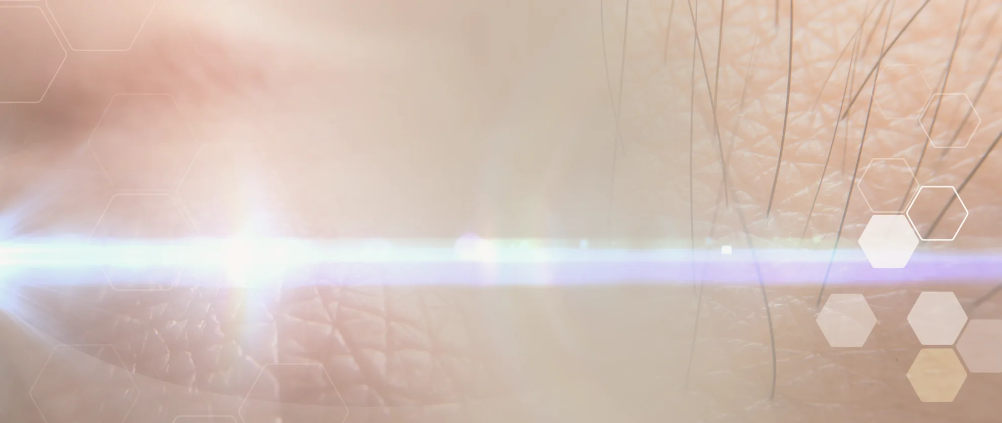 Bannerbild Haar Makroaufnahme