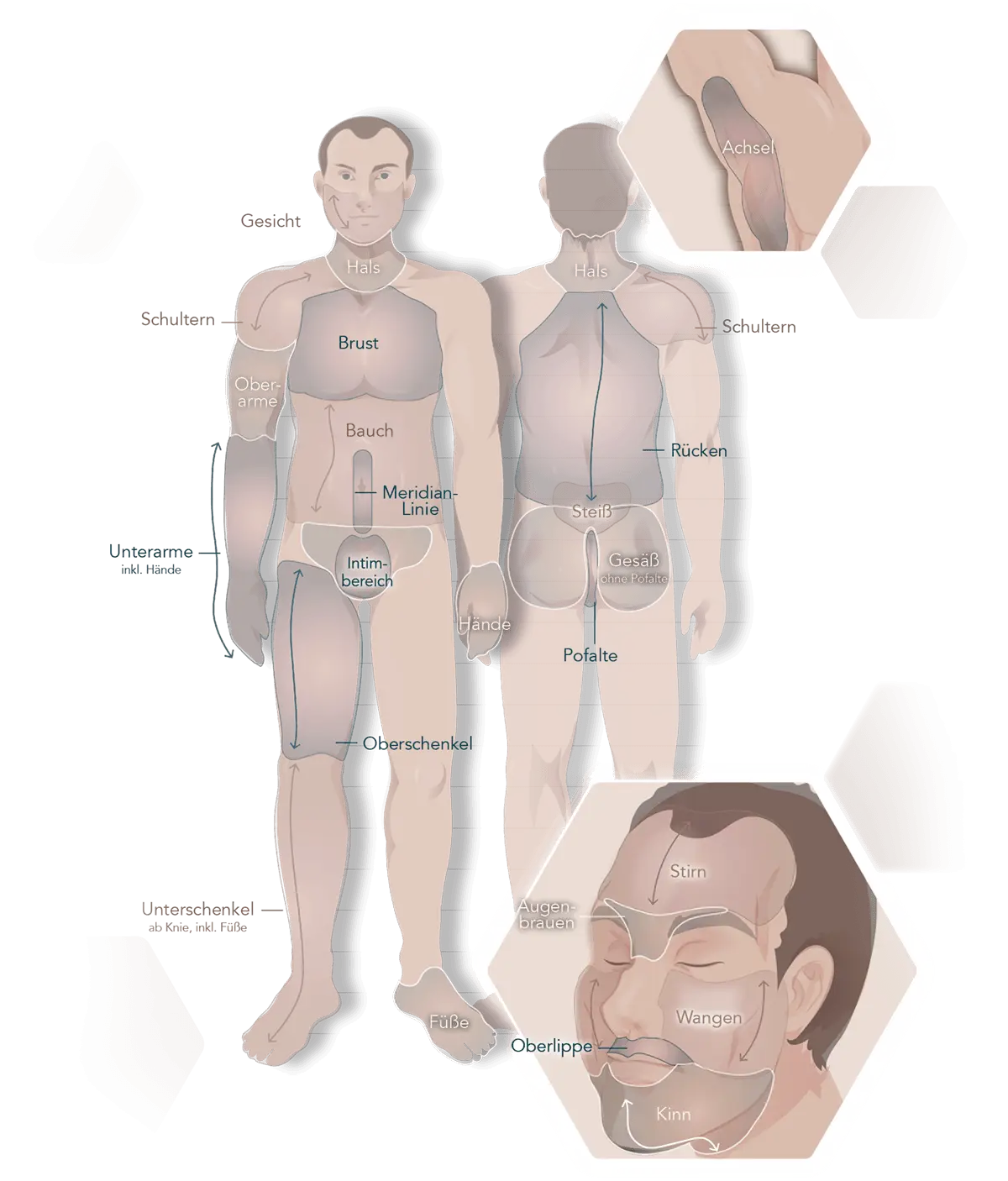 Infografik Körperregionen Mann für die Laser-Haarentfernung und Licht-Haarentfernung